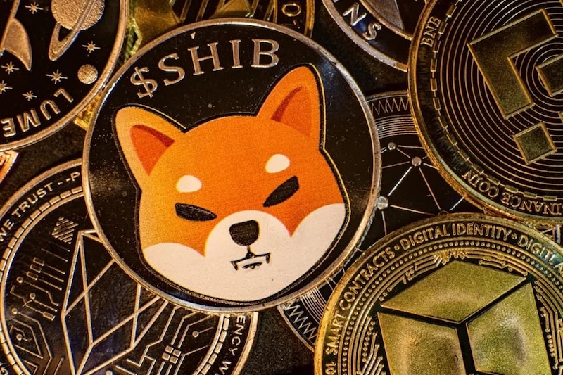 柴犬币（SHIB）社区狂热背后：是泡沫还是价值回归？ - php中文网